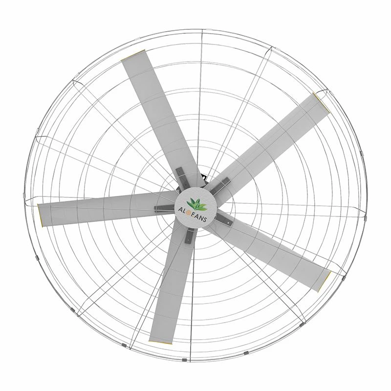 Factory Wall Fans
