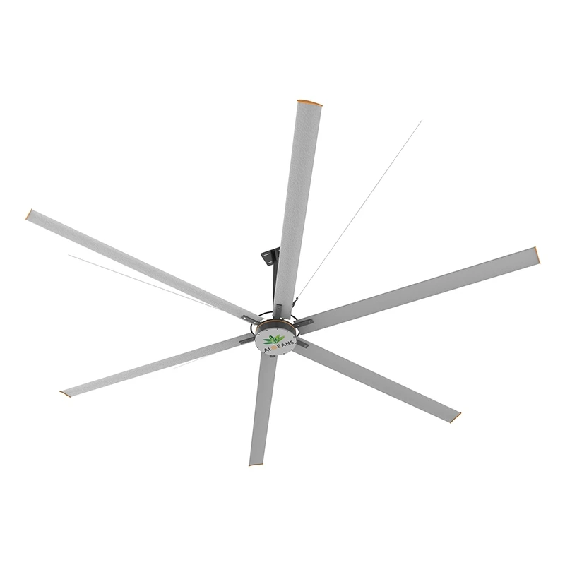 Fitness Ceiling Fans
