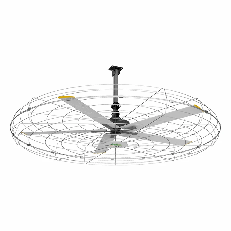 Livestock Wall Fans