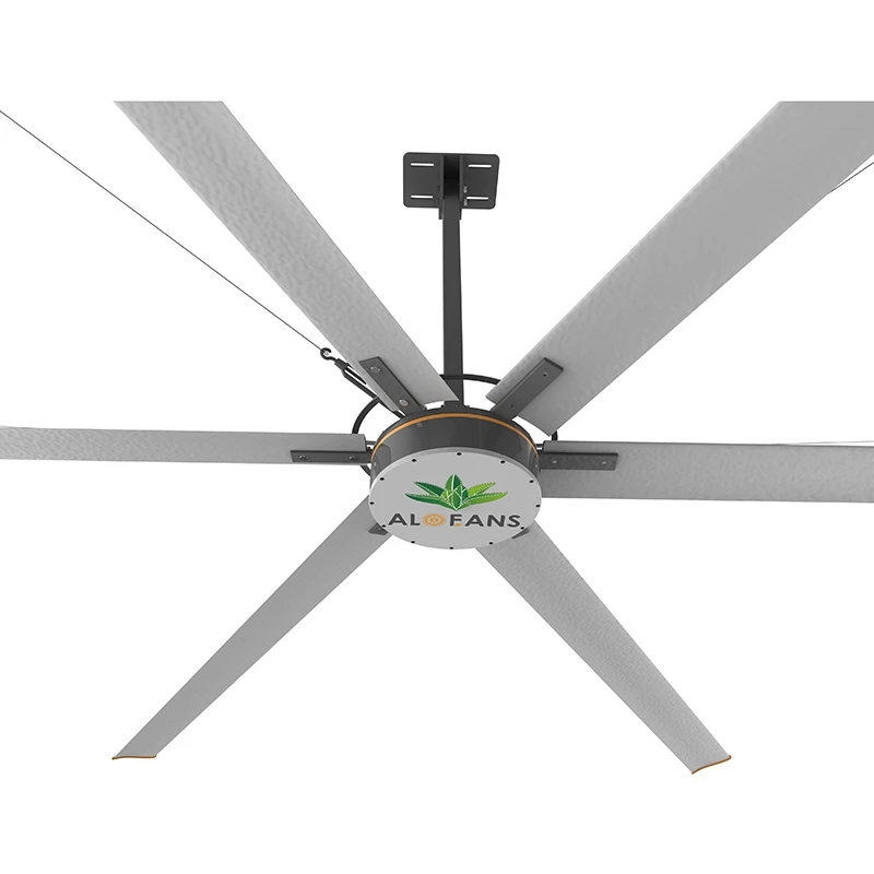 Showroom Fans Showroom Fans